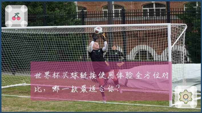 世界杯买球链接使用体验全方位对比，哪一款最适合你？